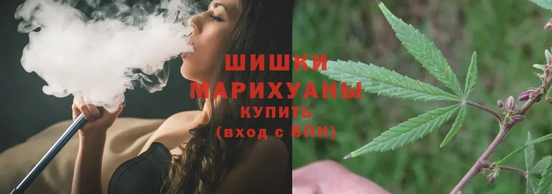 Бошки Шишки THC 21%  нарко площадка клад  Борзя 